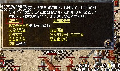 辽宁网通新开私服物品库存记录